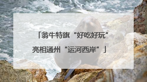 翁牛特旗“好吃好玩”亮相通州“运河西岸”