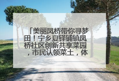 美丽凤桥带你寻梦田！宁乡夏铎铺镇凤桥社区创新共享菜园，市民认领菜土，体验耕种收获乐趣