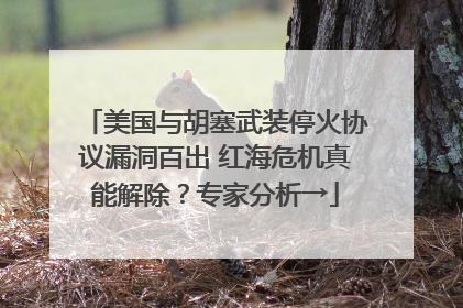 美国与胡塞武装停火协议漏洞百出 红海危机真能解除？专家分析→