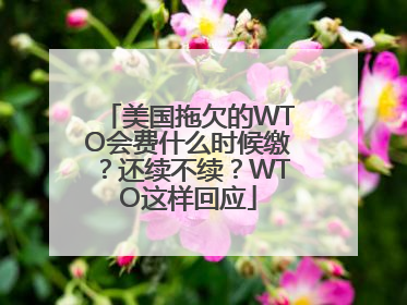 美国拖欠的WTO会费什么时候缴？还续不续？WTO这样回应