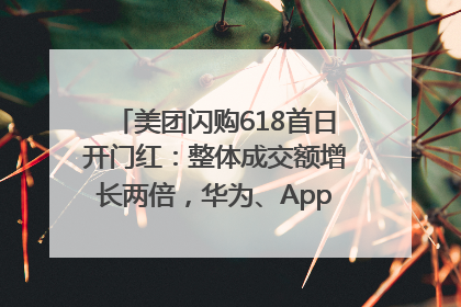 美团闪购618首日开门红：整体成交额增长两倍，华为、Apple、沃尔玛等近800个品牌翻倍增长