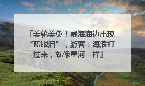 美轮美奂！威海海边出现“蓝眼泪”，游客：海浪打过来，就像星河一样
