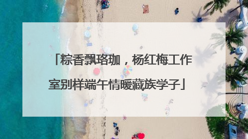 粽香飘珞珈，杨红梅工作室别样端午情暖藏族学子