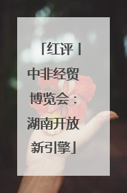 红评丨中非经贸博览会：湖南开放新引擎