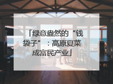 绿意盎然的“钱袋子”：高原夏菜成富民产业