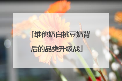 维他奶白桃豆奶背后的品类升级战