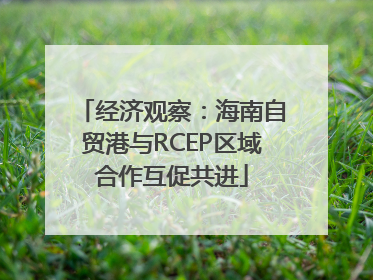 经济观察：海南自贸港与RCEP区域合作互促共进
