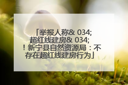 举报人称& 034;超红线建房& 034;！新宁县自然资源局：不存在超红线建房行为