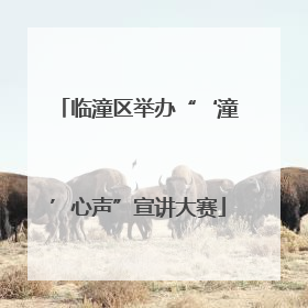临潼区举办“‘潼’心声”宣讲大赛
