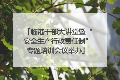 临港干部大讲堂暨“安全生产行政责任制”专题培训会议举办