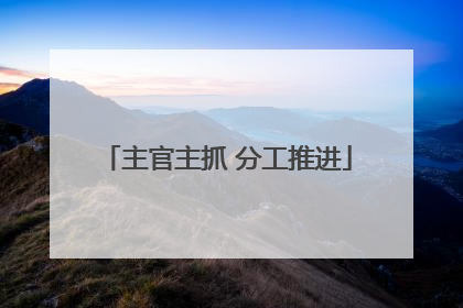 主官主抓 分工推进
