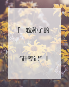 一粒种子的“赶考记”