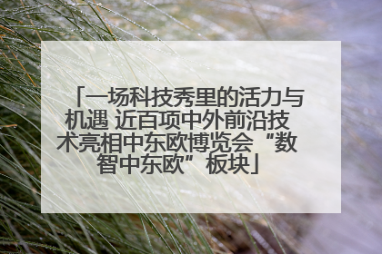 一场科技秀里的活力与机遇 近百项中外前沿技术亮相中东欧博览会“数智中东欧”板块