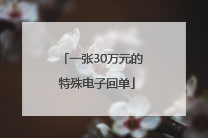一张30万元的特殊电子回单