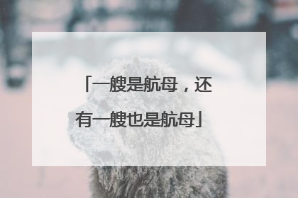 一艘是航母，还有一艘也是航母