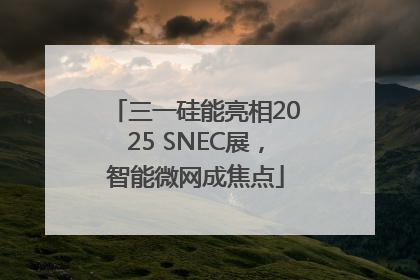 三一硅能亮相2025 SNEC展，智能微网成焦点
