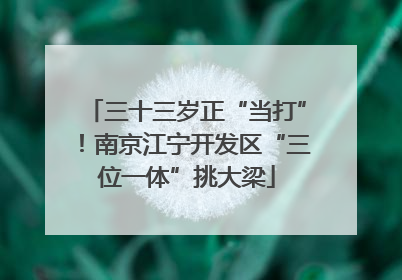 三十三岁正“当打”！南京江宁开发区“三位一体”挑大梁