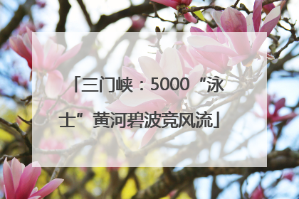 三门峡：5000“泳士”黄河碧波竞风流