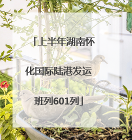 上半年湖南怀化国际陆港发运班列601列