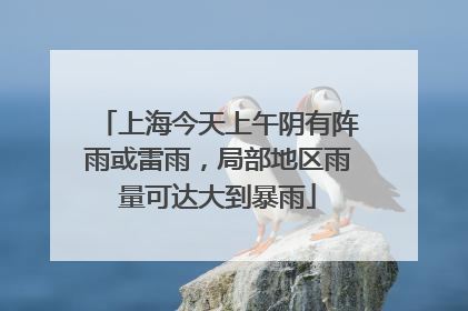 上海今天上午阴有阵雨或雷雨，局部地区雨量可达大到暴雨