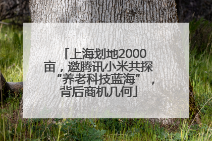上海划地2000亩，邀腾讯小米共探“养老科技蓝海”，背后商机几何