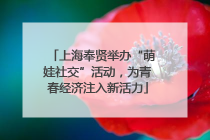 上海奉贤举办“萌娃社交”活动，为青春经济注入新活力