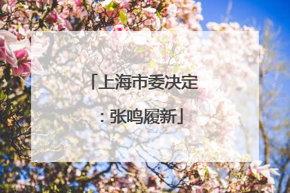 上海市委决定：张鸣履新