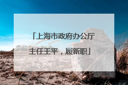 上海市政府办公厅主任王平，履新职