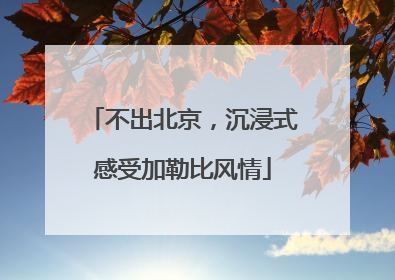 不出北京，沉浸式感受加勒比风情