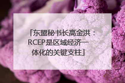 东盟秘书长高金洪：RCEP是区域经济一体化的关键支柱