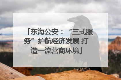 东海公安：“三式服务”护航经济发展 打造一流营商环境