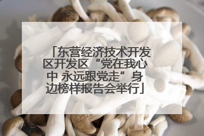 东营经济技术开发区开发区“党在我心中 永远跟党走”身边榜样报告会举行