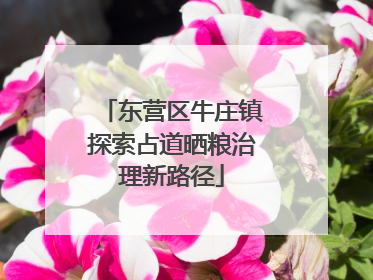 东营区牛庄镇探索占道晒粮治理新路径