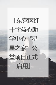 东营区红十字益心助学中心“星星之家”公益项目正式启用