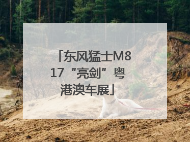 东风猛士M817“亮剑”粤港澳车展