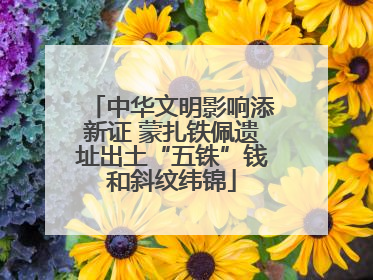 中华文明影响添新证 蒙扎铁佩遗址出土“五铢”钱和斜纹纬锦