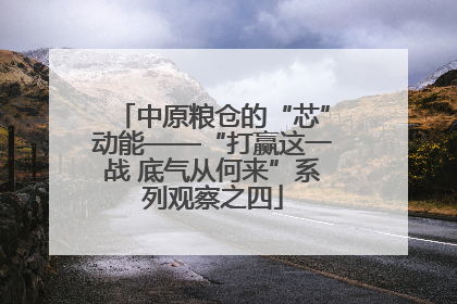 中原粮仓的“芯”动能——“打赢这一战 底气从何来”系列观察之四