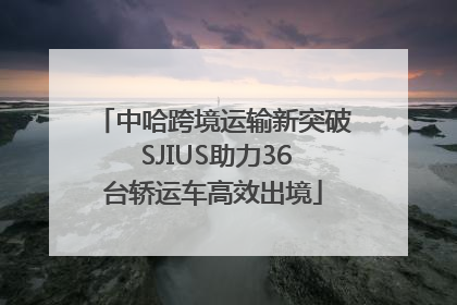 中哈跨境运输新突破 SJIUS助力36台轿运车高效出境