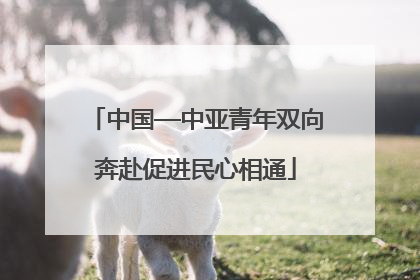 中国—中亚青年双向奔赴促进民心相通