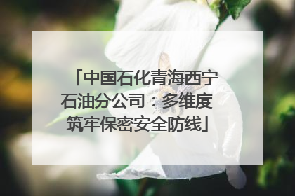 中国石化青海西宁石油分公司：多维度筑牢保密安全防线