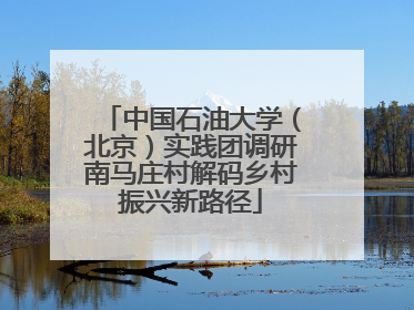 中国石油大学（北京）实践团调研南马庄村解码乡村振兴新路径