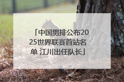 中国男排公布2025世界联赛首站名单 江川出任队长