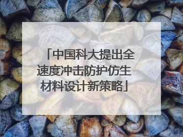 中国科大提出全速度冲击防护仿生材料设计新策略