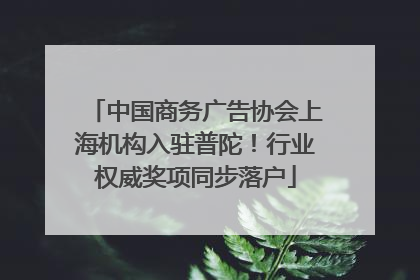 中国商务广告协会上海机构入驻普陀！行业权威奖项同步落户