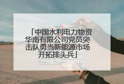 中国水利电力物资华南有限公司党员突击队勇当新能源市场开拓排头兵