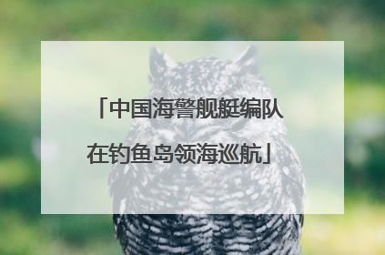 中国海警舰艇编队在钓鱼岛领海巡航
