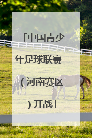 中国青少年足球联赛（河南赛区）开战