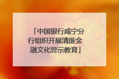 中国银行咸宁分行组织开展清廉金融文化警示教育