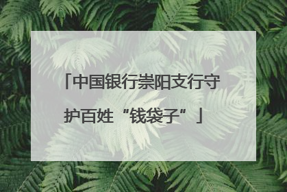 中国银行崇阳支行守护百姓“钱袋子”