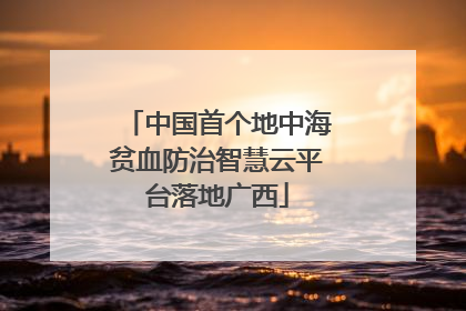 中国首个地中海贫血防治智慧云平台落地广西